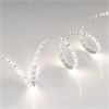 Светодиодная лента IC2-20000 24V Day4000 2x 12mm (2835, 120 LED/m, Long) (Arlight, 9.6 Вт/м, IP20) 120 led на 1м Arlight 024591(2) - фото 110760