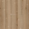 SPC ламинат Real Wood Дуб Самерсет ЕСО 2-11 - фото 21961