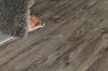 SPC ламинат Grand Sequoia Венге Грей ECO 11-8 - фото 22198