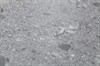 Кварцвиниловый ламинат Bonkeel Tile Grigio Terrazzo - фото 50328