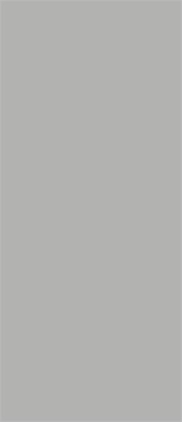 Слэб керамический MONO GREY 3200х798х12мм MATT РАСПИЛ (уп. 1 шт, 2,55 м2 ) Staro_УТ-00000507 - фото 111573