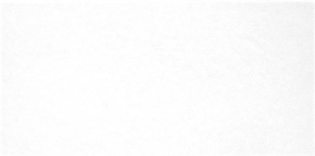 TWU09MNR020 2С Плитка облицовочная Monocolor 249*500 2С_TWU09MNR020