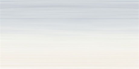 TWU09RLX604 2С Плитка облицовочная Relax 249*500 2С_TWU09RLX604