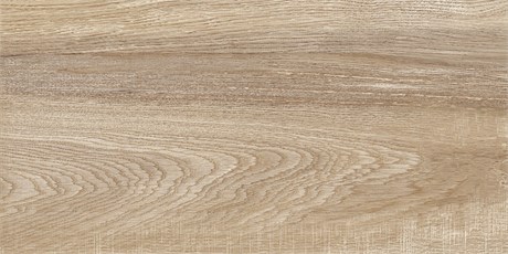 TWU2550EPH40 2С Плитка облицовочная рельефная Euphoria 249*500 2С_TWU2550EPH40