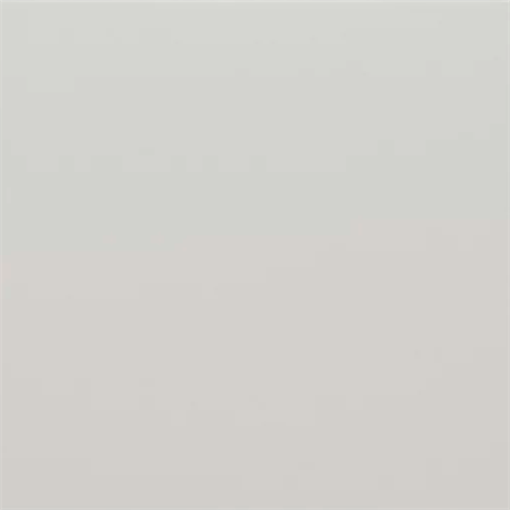 Гранит керамический 30715 RIVOLI White 20x20 см Equipe 30715
