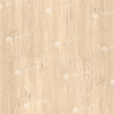 SPC ламинат Classic Дуб Ваниль Селект ECO 106-3 ECO 106-3 - фото 21730