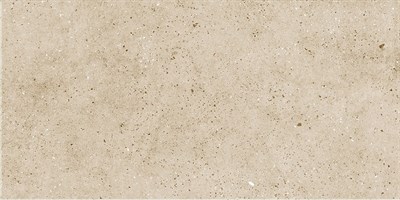 Керамогранит Steppe Dacite Beige 1200х600 (1,44*47,52) ST-P271031 - фото 24734