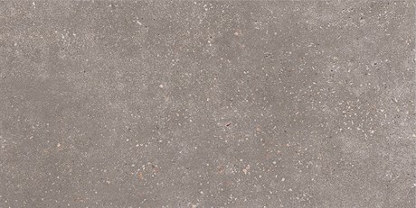 Керамогранит Coral Rock_GT Сер. 30x60 _ 1\58,32 GT183VG - фото 46723