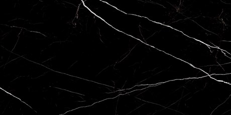 Twinstone Black Керамогранит суперполированный 600*1200 60120TWN99HG - фото 49111