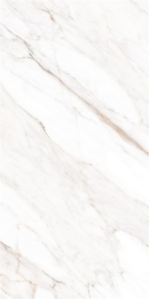 Керамогранит Calacatta Gold Polished 60x120 MPL-058631 - фото 51163