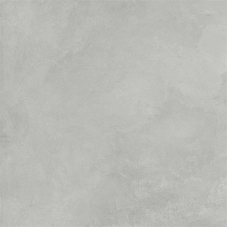 Керамогранит Evolution Smoke светло-серый 60х60 Матовый Карвинг SG603720R - фото 61449