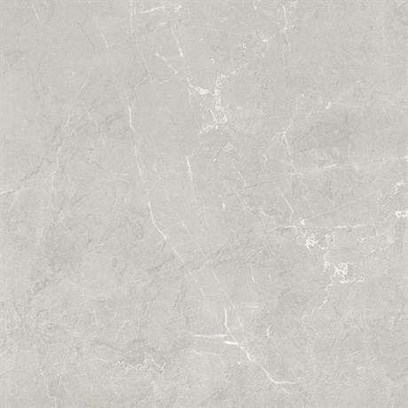Керамогранит Scandy  светло-серый 60х60 обрезной SG645120R - фото 61495