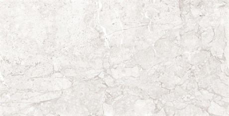 Керамогранит Emil White светло-серый 60x120 Полированный 436038 - фото 61700