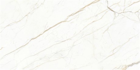 Керамогранит Europa Gold белый 60x120 Матовый Карвинг 436680 - фото 61717