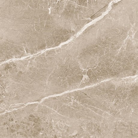 Керамогранит Obsidian Taupe 60х60 Матовый 431411 - фото 61819