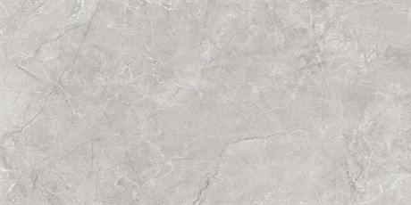 Керамогранит Pluto Silver светло-серый 59,5х119,1 матовый 440079 - фото 61846