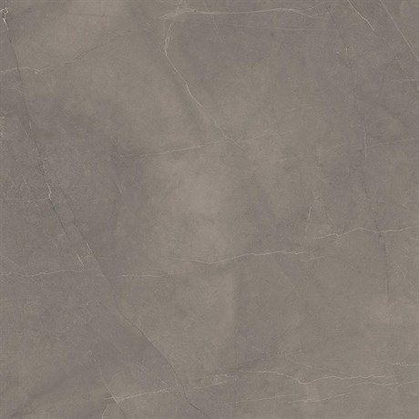 Керамогранит Splash Grey серый 60х60 Сатинированный Карвинг 435595 - фото 61882