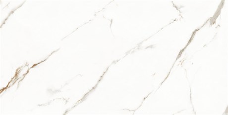 Керамогранит Venato Calacatta Gold белый 60х120 сатинированный 127956 - фото 61930