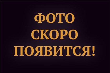 Стойка для душа Grocenberg GB502MG Матовый золото GB502MG
