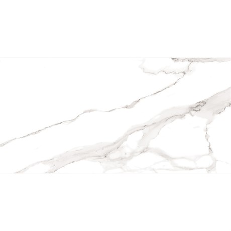 Керамогранит полированный JEWELL WHITE 60x120 7мм POLISHED Staro 1645863296 - фото 85448