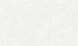 R148012 Обои Винил на флизелине Spring 10,05х1,06 40502