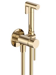 AQM6217CR Siena Готовый комплект гигиенического душа (скрытый монтаж) AQM6217CR