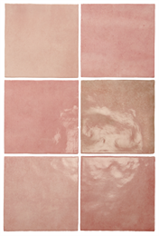 Плитка керамическая настенная 24456 ARTISAN Rose Mallow 13,2х13,2 см Equipe 24456