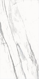 Керамогранит Lasa_GT Бел. 60x120 карвинг GT120603903MCR2