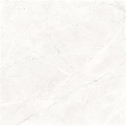 Керамогранит Connect Pearl светло-серый 60х60 матовый SG624920R