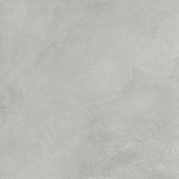 Керамогранит Evolution Smoke светло-серый 60х60 Матовый Карвинг SG603720R