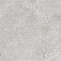 Керамогранит Pluto Silver светло-серый 60х60 матовый SG625820R