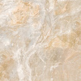 Керамогранит Jasper серый JS 22 60х60 128484