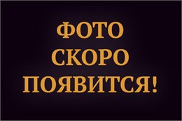 Стойка для душа Grocenberg GB502MG Матовый золото GB502MG