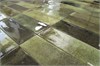Плитка JAZZ OLIVE 7.5x22.5 (уп. 44 шт, 0,51 м2 ) Staro_УТ-00000229 - фото 110894