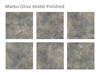 Плитка Marbo Olive 60x60 Polished (уп. 4 шт, 1,44 м2 ) Staro_С0004054 - фото 111148