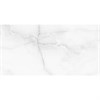 Плитка Antisky Grey light 60x120 Polished (уп. 2 шт, 1,44 м2 ) Staro_С0005123 - фото 111166