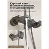 Душевая система Belz B24678-3, вороненая сталь, gunmetal B24678-3