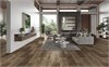 Ламинат Alpine Floor by Classen Aqua Life 8/33 4V Дуб Анси LF103-10 LF103-10