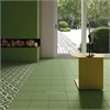 Гранит керамический 30710 RIVOLI Bergen Verde 20x20 см Equipe 30710