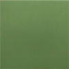 Гранит керамический 30716 RIVOLI Green 20x20 см Equipe 30716