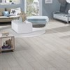 Ламинат Laminely (Томск) Woodstyle Gamma 14/33 4V Дуб Арктик WG 14/33 4V 000002 - фото 13575