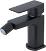 Смеситель для биде Allen Brau Infinity 5.21004-31 черный матовый 5.21004-31 - фото 14117