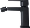 Смеситель для биде Allen Brau Infinity 5.21004-31 черный матовый 5.21004-31 - фото 14118