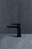Смеситель для раковины Allen Brau Infinity 5.21001-31 черный матовый 5.21001-31 - фото 14650