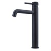 Смеситель для раковины Allen Brau Priority 5.31002-31 черный матовый 5.31002-31 - фото 14756