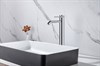Смеситель для раковины Allen Brau Priority 5.31A02-00 хром 5.31A02-00 - фото 14876