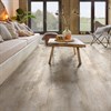 LVT-плитка Moduleo клеевая Roots 0.40 Country Oak 24130Q 196x1320x2.35 (3.88м2) 400092487 - фото 44578