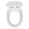 Сиденье для унитаза DELFI DPL EO slim DS-DELFI-S-DL-E