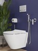 Смеситель с гигиеническим душем MODUO A64105 - фото 48727