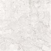 Керамогранит Emil White светло-серый 60x60 Полированный 436037 - фото 61701